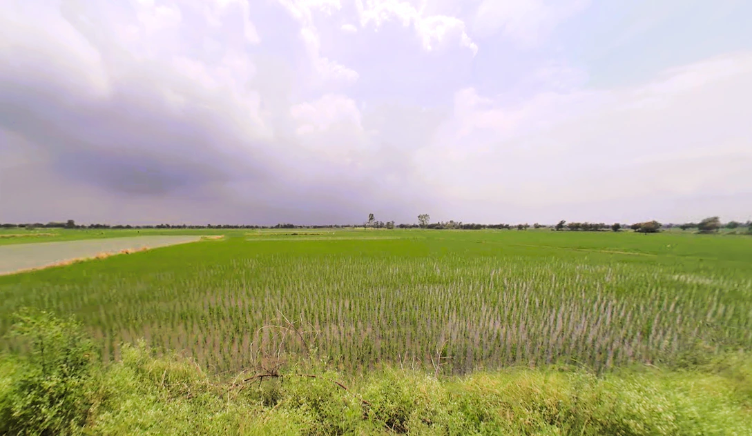 Pahrawar, Haryana 124021, India