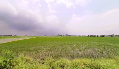 Pahrawar, Haryana 124021, India preview 3