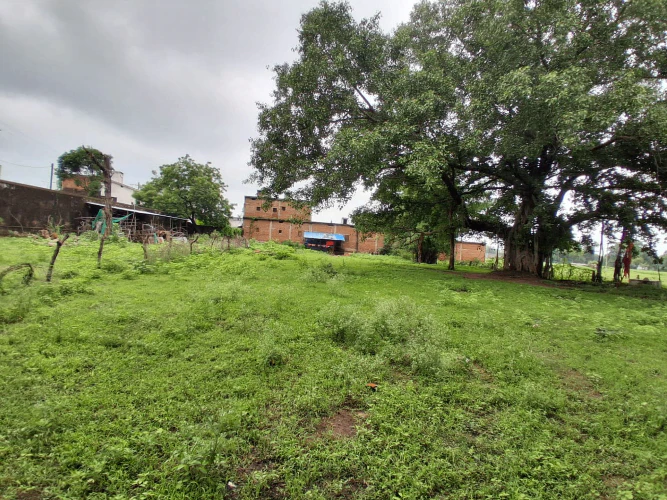 QQVP+85Q, Chhatarpur, NH 39, Ganj, Madhya Pradesh 471105, India