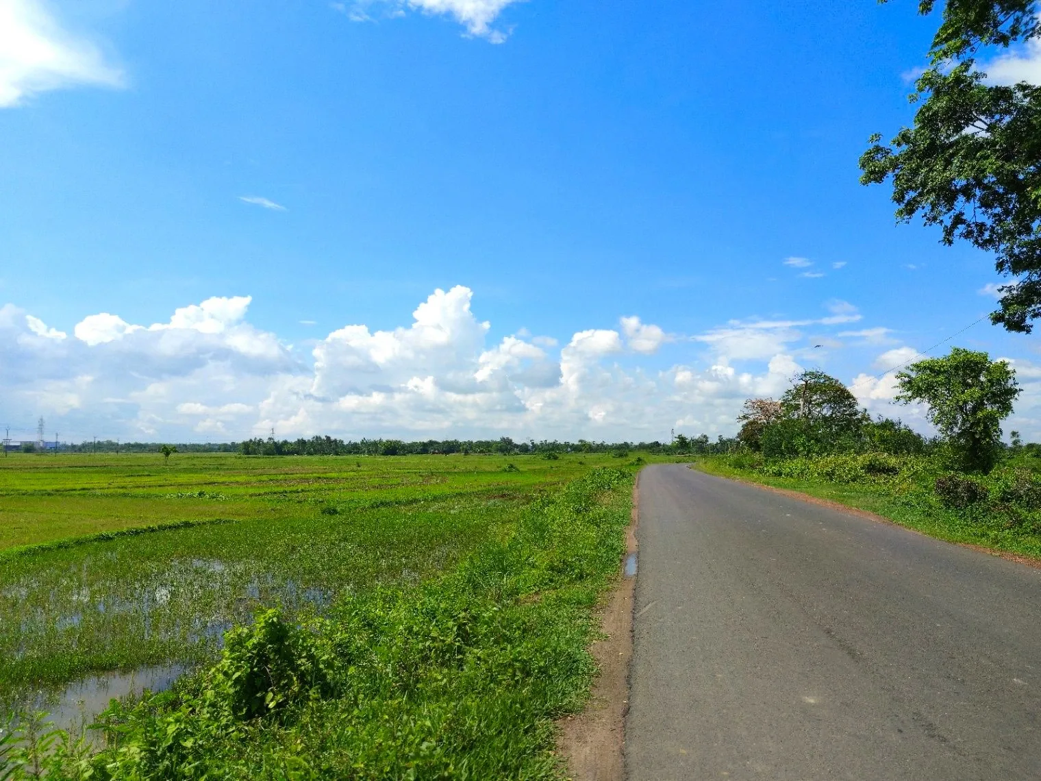 Tembhikalan, Madhya Pradesh 450771, India