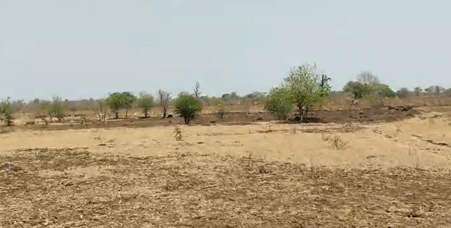 46FH+PRH, Nirmal, Malegaon, Telangana 504103, India