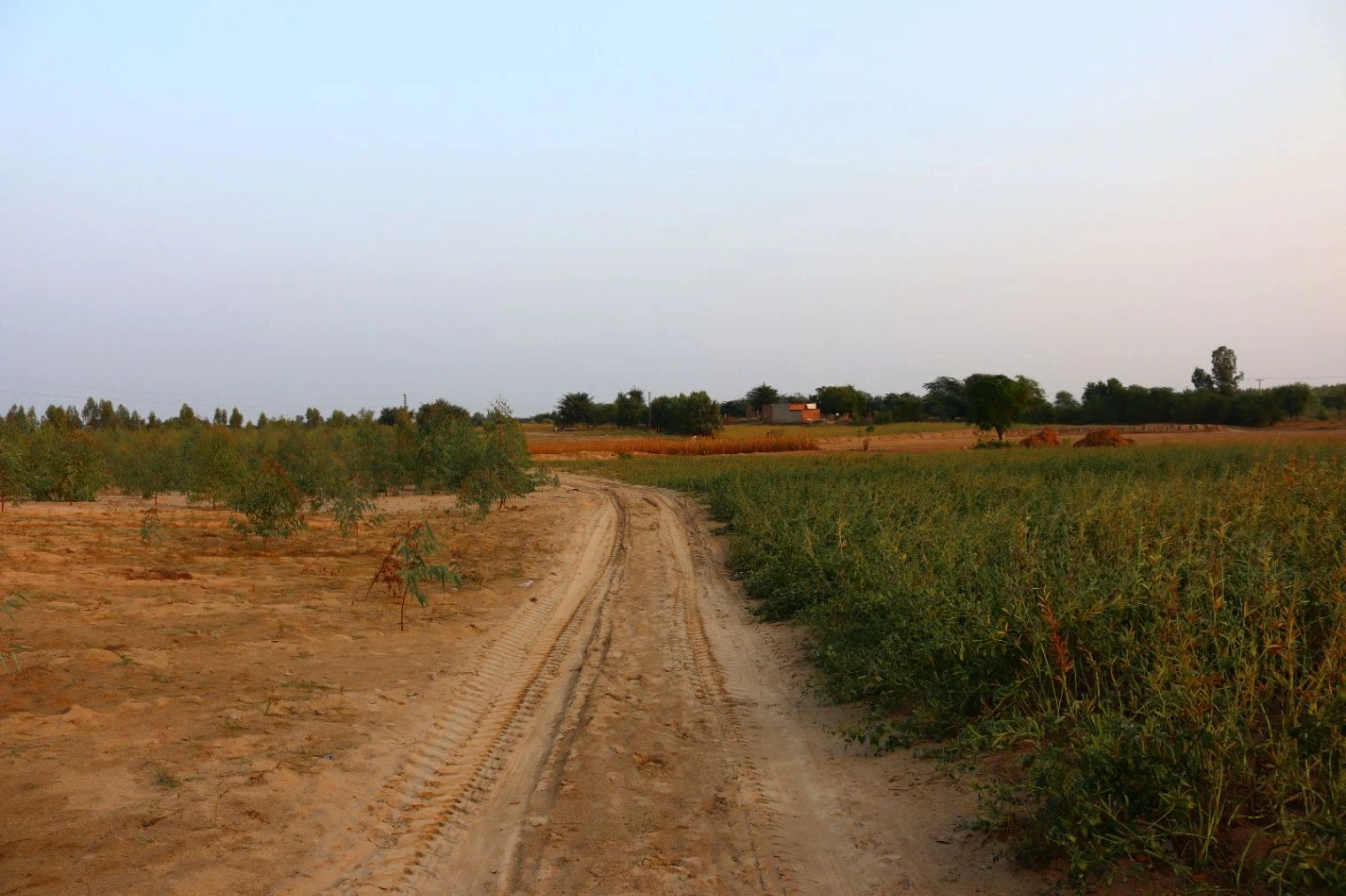 CCQ9+CR2, Khatu Shyam Ji Rd, Mandha, Rajasthan 332402, India