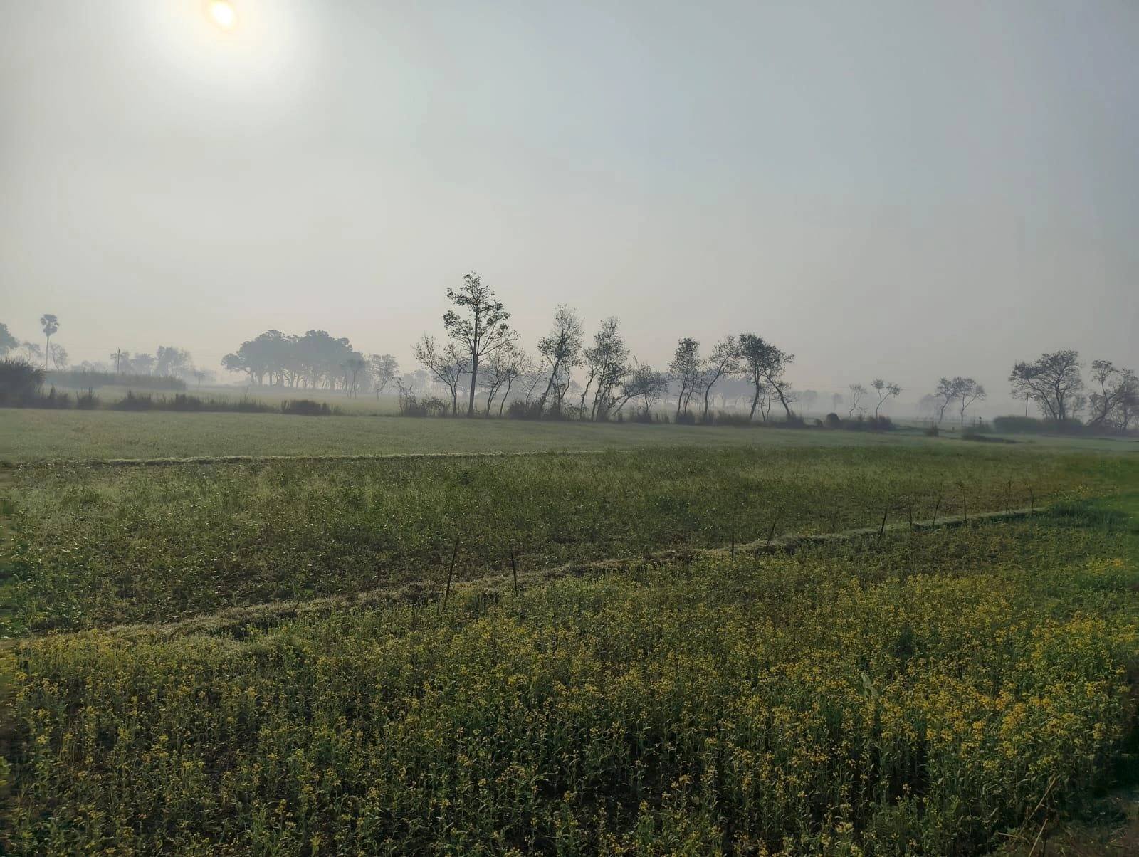 Chandrauta, Uttar Pradesh 274401, India preview 2