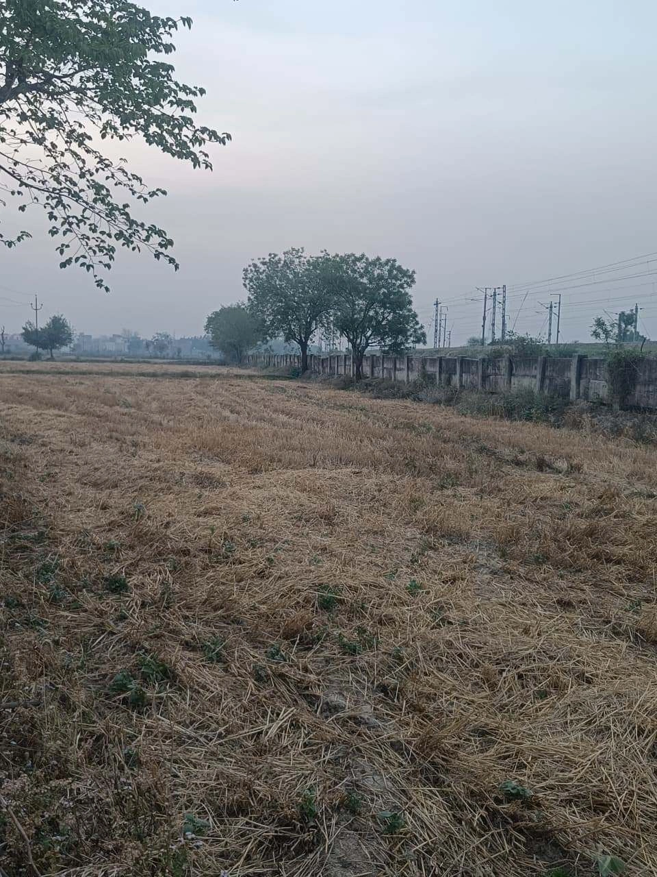 Barhana, Uttar Pradesh, India