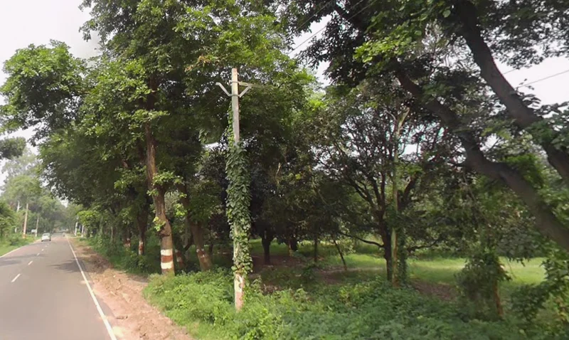 Behat, Uttar Pradesh 247121, India preview 3