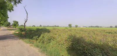 Pinjore, Haryana 134102, India preview 2