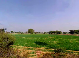 6JWX+XHM, Govindgarh, Rajasthan 303712, India preview 2