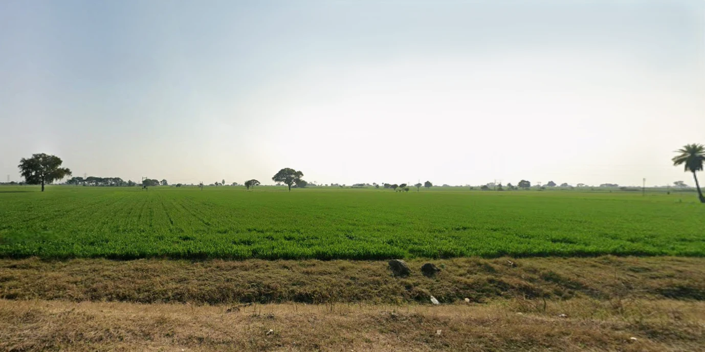 Depalpur, Madhya Pradesh 453115, India