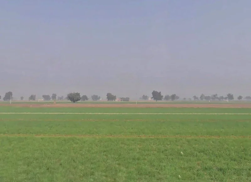 Ghamandia, Rajasthan 335804, India preview 3