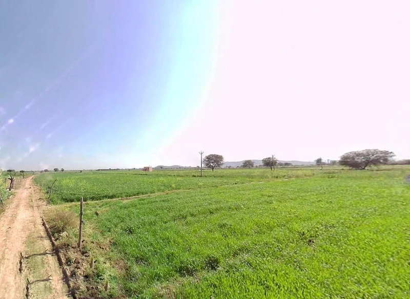 Siliserh Lake Palace, Kishanpur, Rajasthan 301001, India preview 2