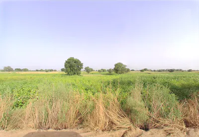 Jant, Haryana, India preview 3