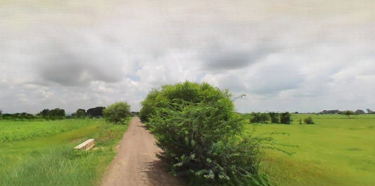 Gunnaur, Uttar Pradesh 243722, India