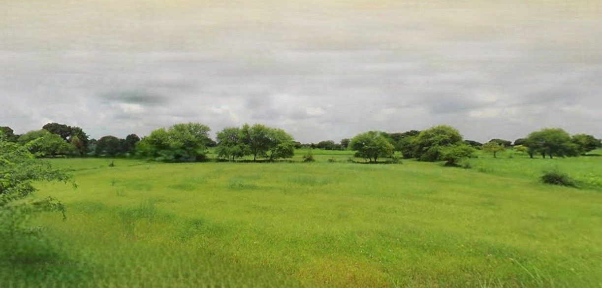 Mohanlalganj, Uttar Pradesh 226301, India