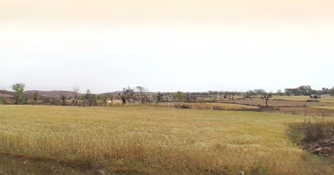 Tanda, Uttar Pradesh 244925, India