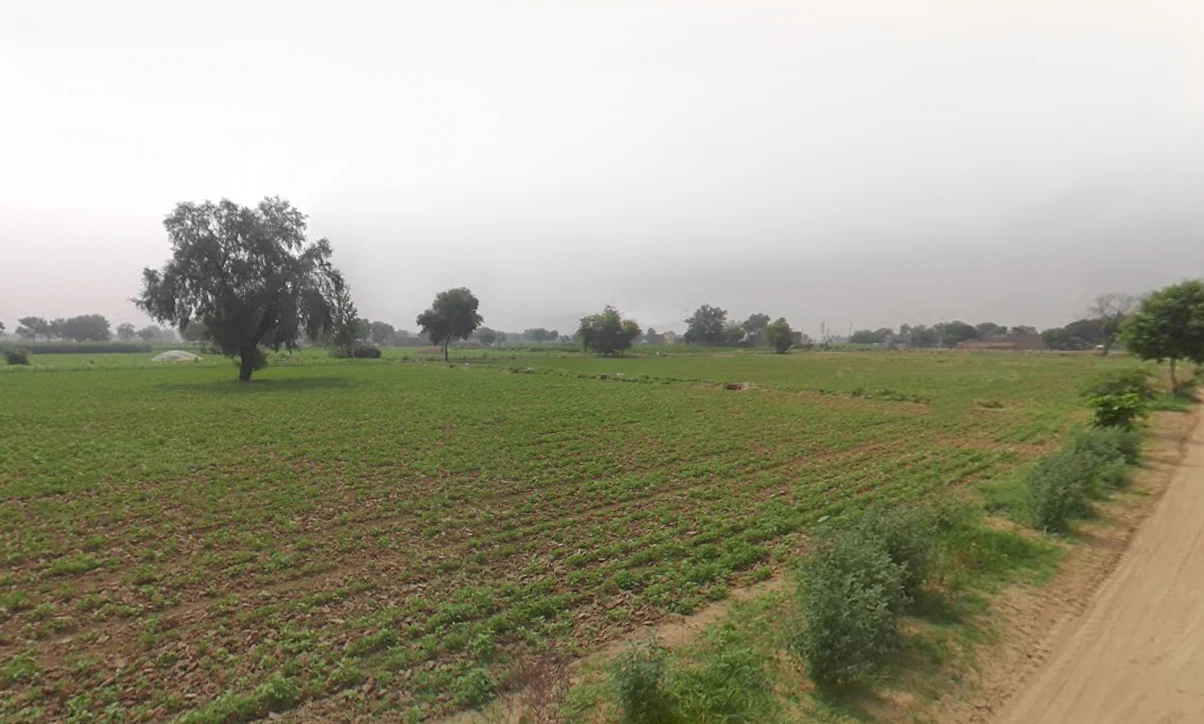 Khabran Kalan, Haryana 125053, India preview 2