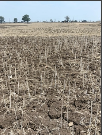Ganj Basoda, Madhya Pradesh 464221, India
