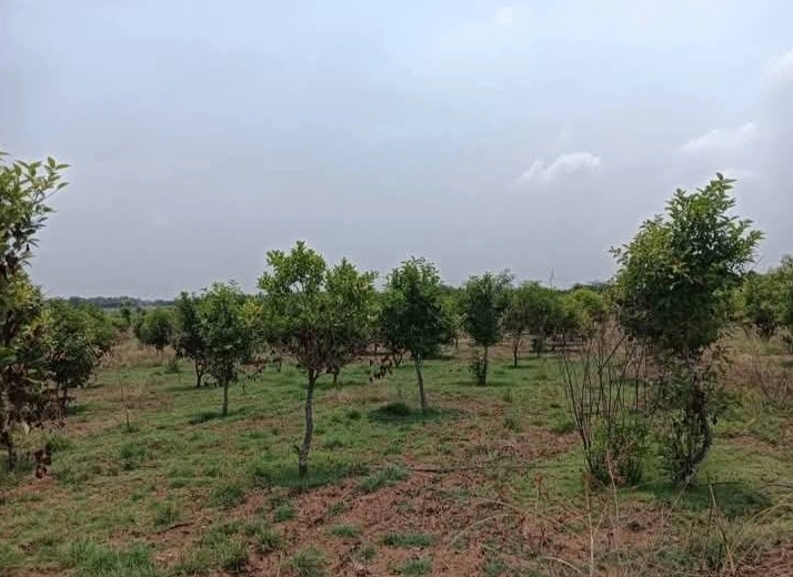 Sira, Karnataka 572137, India preview 2