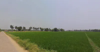 Jhajra, Uttarakhand 248015, India preview 3