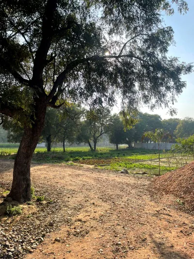 Sector 99A, Gurugram, Haryana 122505, India preview 4