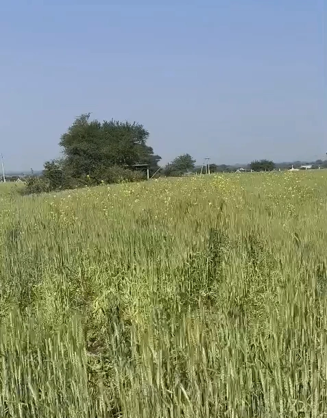 Khurmundi, Ujjain, Madhya Pradesh 456224, India
