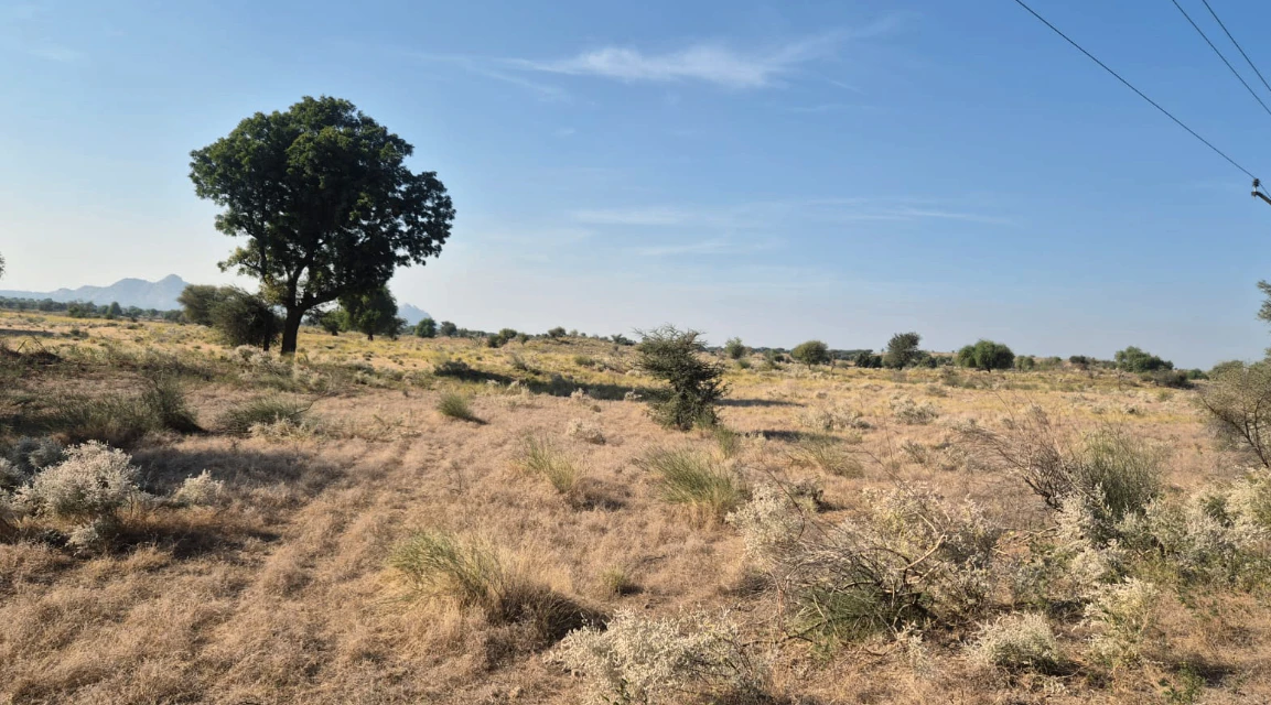 JV5R+WQV, Jalore, Bhadrajun, Rajasthan 307029, India