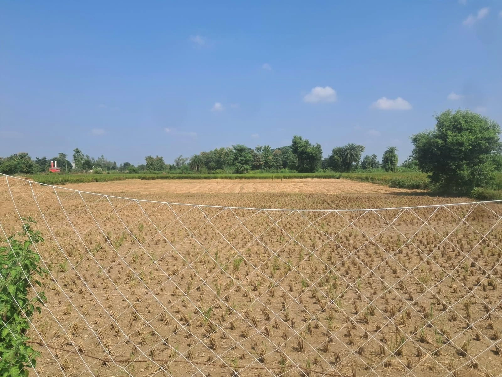 V7H3+96 Sikandarpur Khas, Basti, Uttar Pradesh, India