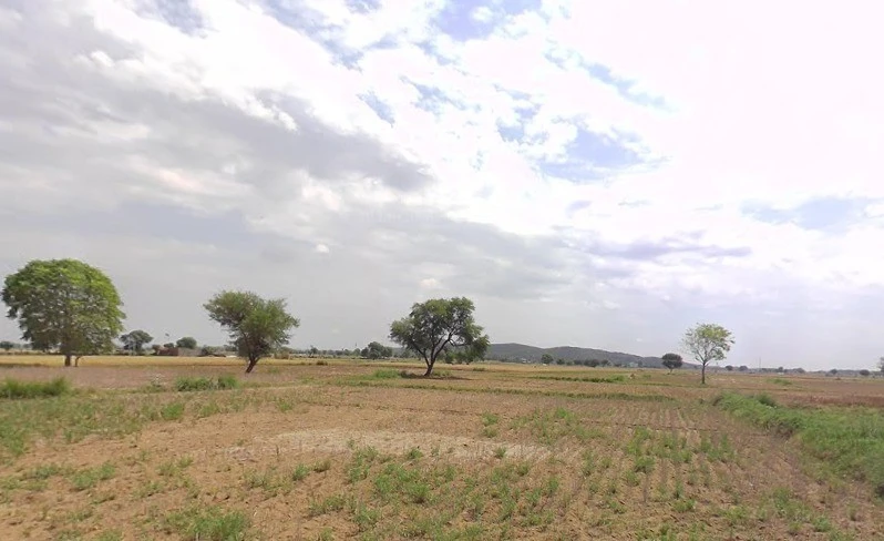 JRPX+75 Beejwa, Rajasthan, India