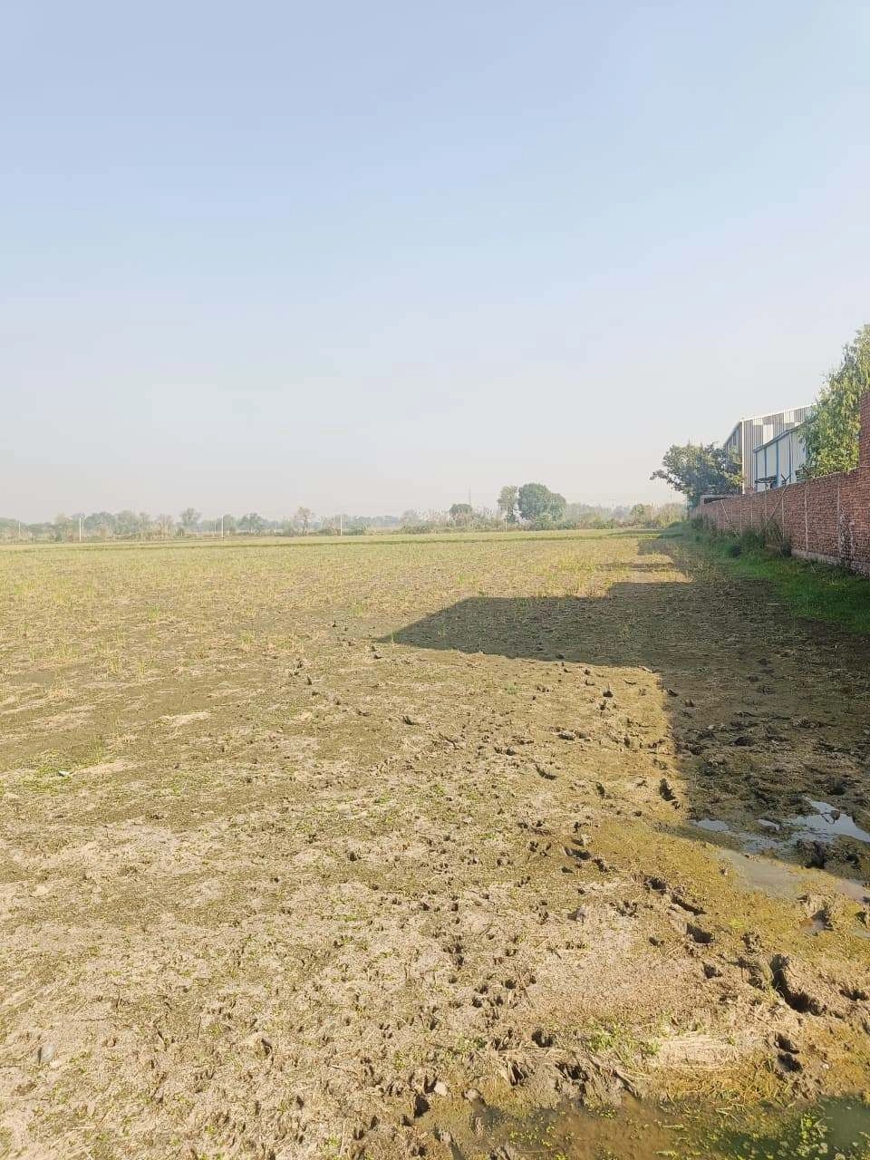 Barhana, Mathura, Uttar Pradesh, India