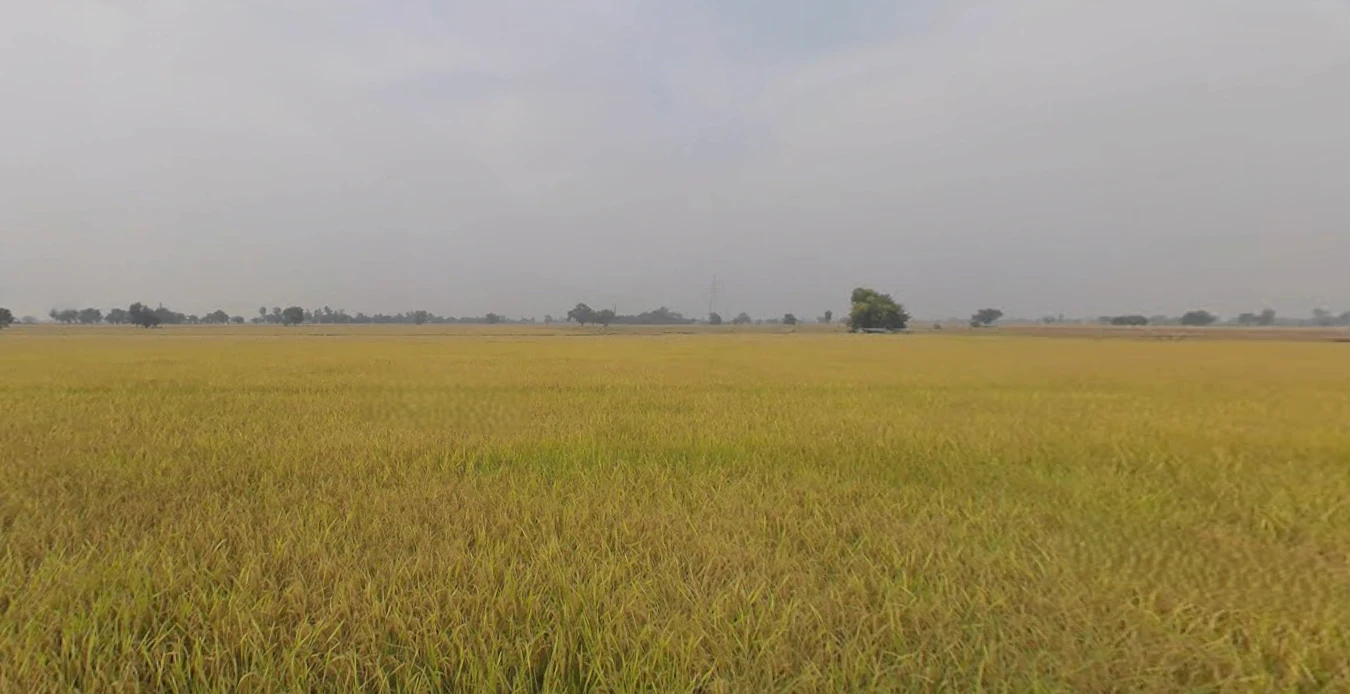 Naukerian, Punjab 152033, India