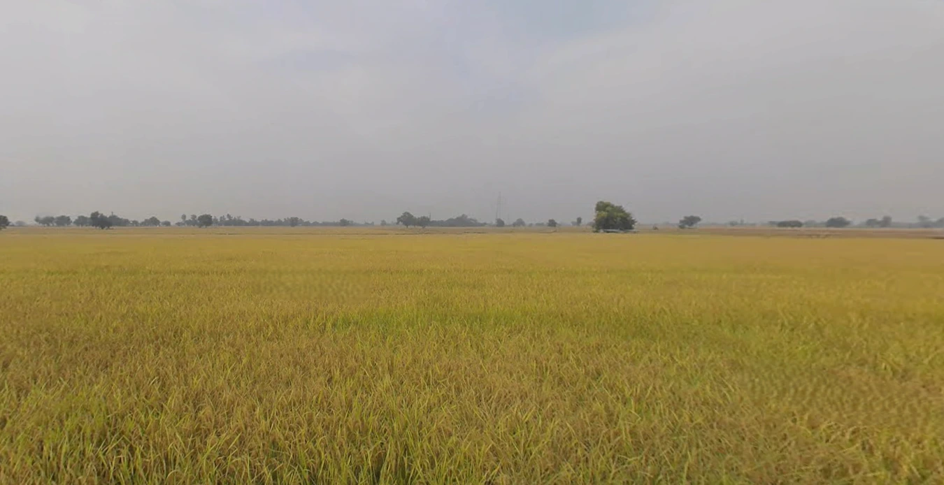 Naukerian, Punjab 152033, India