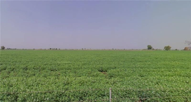 Mahabaleshwar, Maharashtra 412806, India preview 2