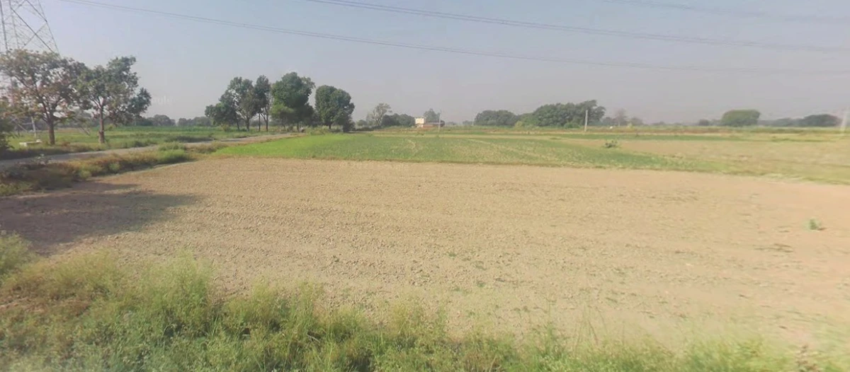 Rangia, Assam, India