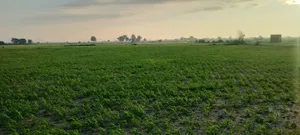 Helak, Rajasthan, India preview 3