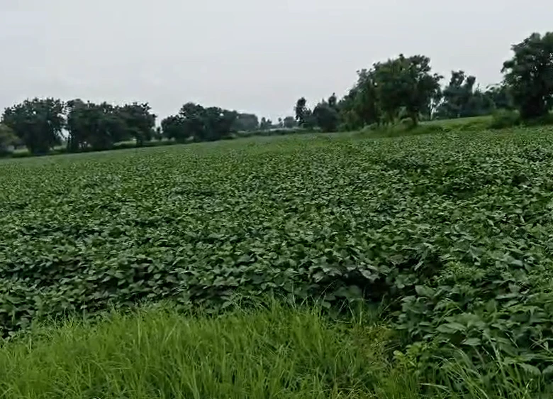 27FH+5WR, Dewas, Sadikheda, Madhya Pradesh, India