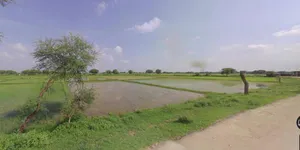 Sri Ganganagar, Rajasthan, India preview 3
