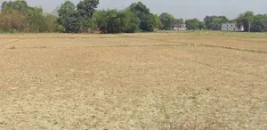 Chak Jiyajipur, Madhya Pradesh, India preview 3