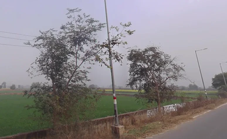 Bichpuri, Uttar Pradesh 283105, India preview 3