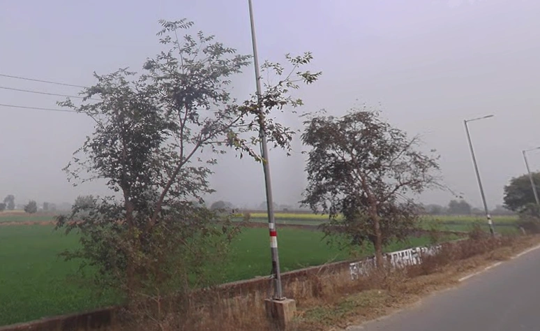 Bichpuri, Uttar Pradesh 283105, India