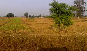 Marihan, Uttar Pradesh 231210, India preview 2