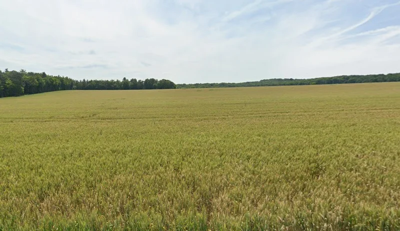 Pandhanya, Madhya Pradesh 451001, India preview 3