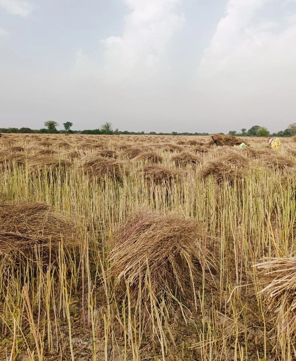 Gharwari, Rajasthan 321201, India