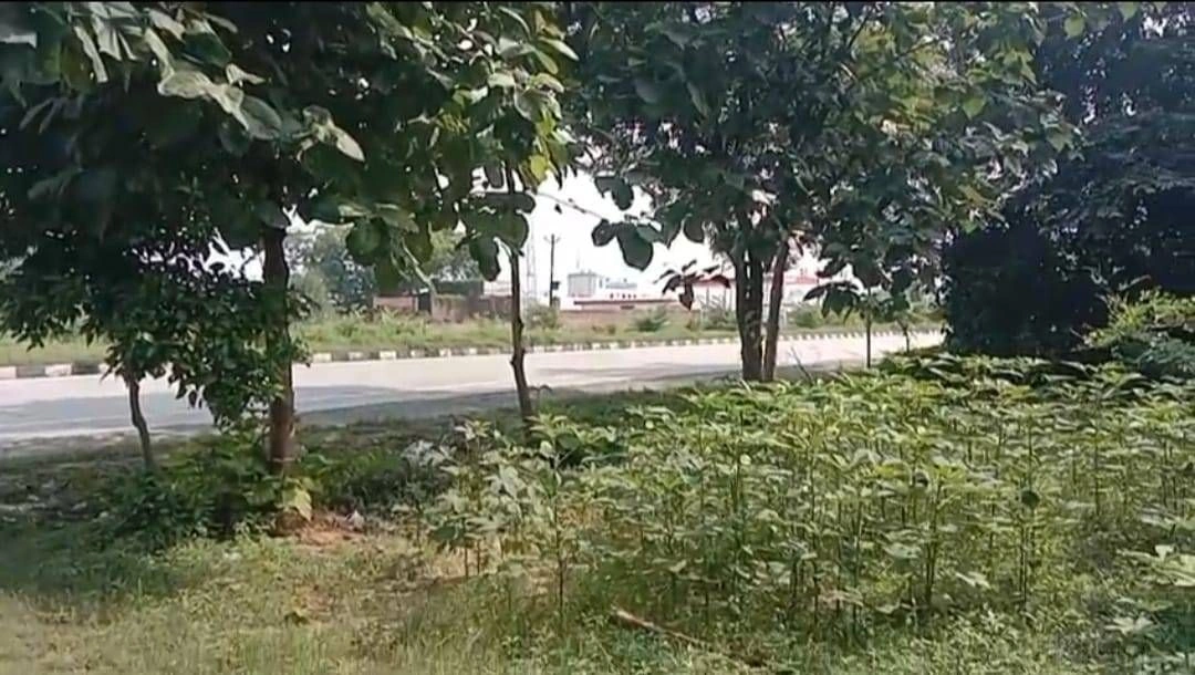 Chunar, Mirzapur, Uttar Pradesh 231304, India