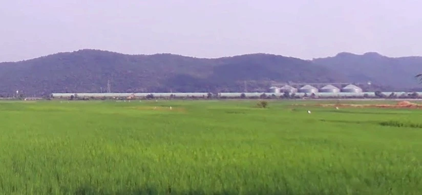 Pachama, Madhya Pradesh, India