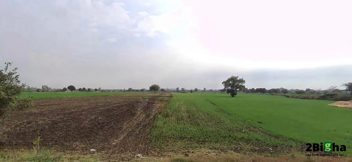 Railway Crossing, Mandideep, Bamuliya Pawar, Bhopal, Madhya Pradesh 462046, India