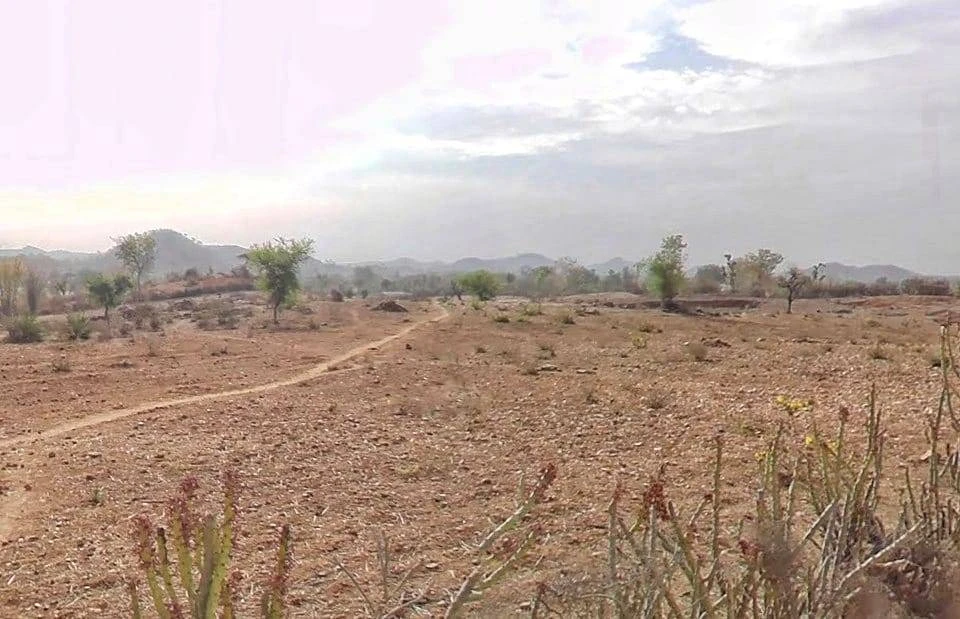 8WHG+63C, मोटिकाकर Road, Jawad, Rajasthan 313703, India