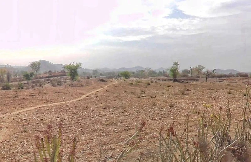 8WHG+63C, मोटिकाकर Road, Jawad, Rajasthan 313703, India preview 3