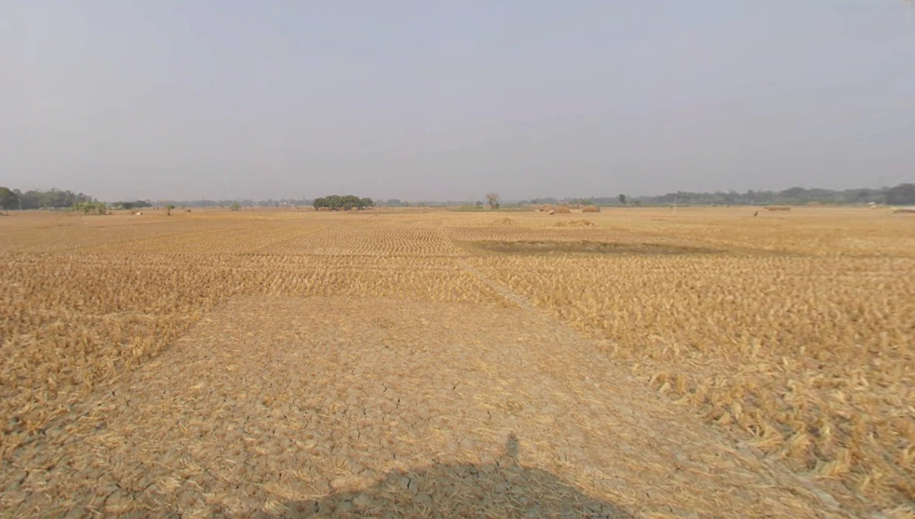 Action Area II, Newtown, New Town, West Bengal, India