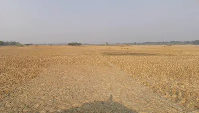 Action Area II, Newtown, New Town, West Bengal, India preview 3