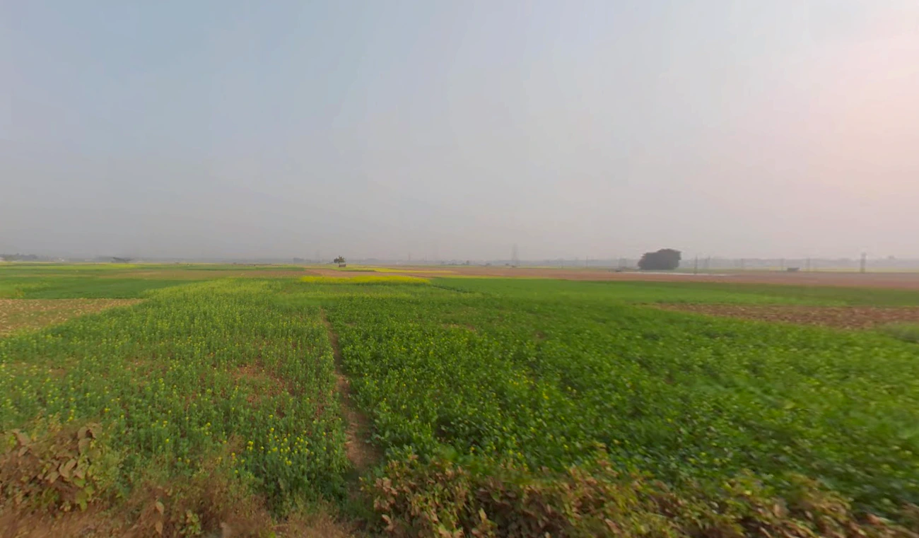 Action Area II, Newtown, New Town, West Bengal, India