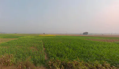 Action Area II, Newtown, New Town, West Bengal, India preview 3